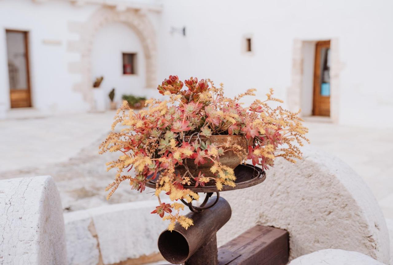 Masseria Casamassima Agriturismo Villa Ostuni Exterior photo