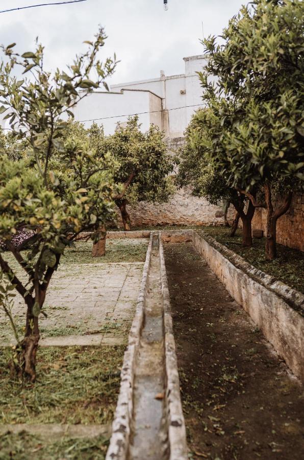 Masseria Casamassima Agriturismo Villa Ostuni Exterior photo